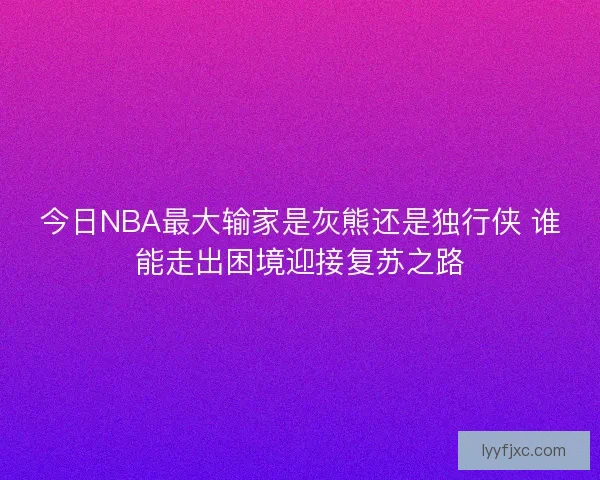 今日NBA最大输家是灰熊还是独行侠 谁能走出困境迎接复苏之路